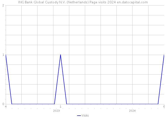 ING Bank Global Custody N.V. (Netherlands) Page visits 2024 