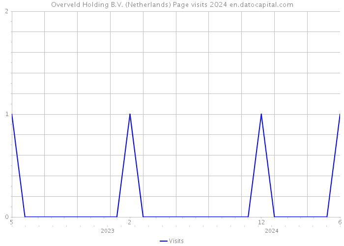 Overveld Holding B.V. (Netherlands) Page visits 2024 