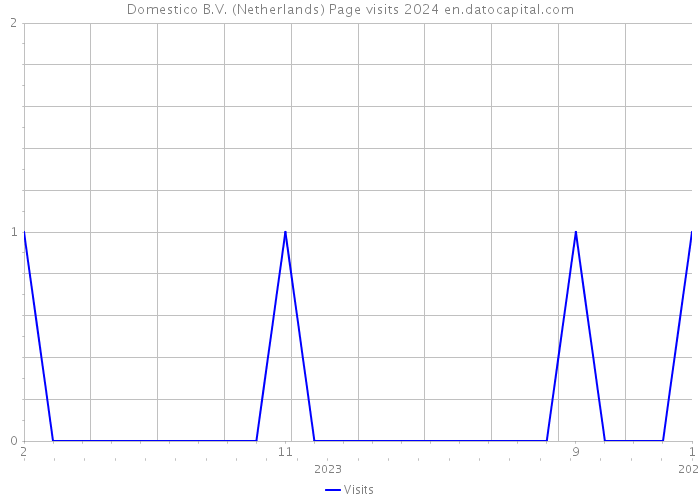 Domestico B.V. (Netherlands) Page visits 2024 