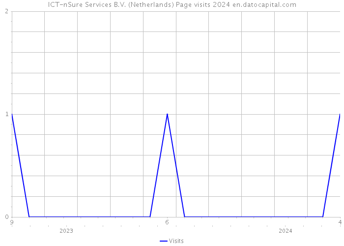 ICT-nSure Services B.V. (Netherlands) Page visits 2024 