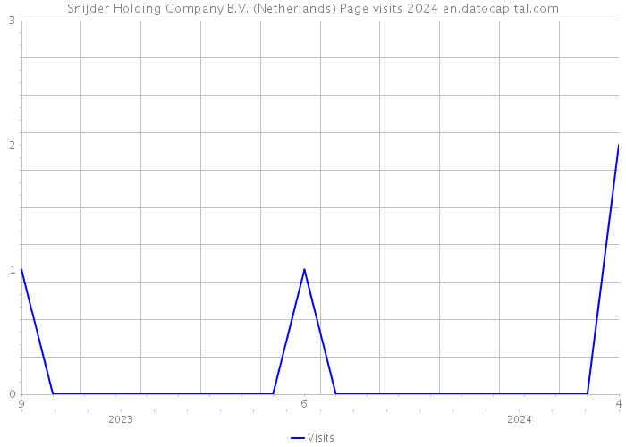 Snijder Holding Company B.V. (Netherlands) Page visits 2024 