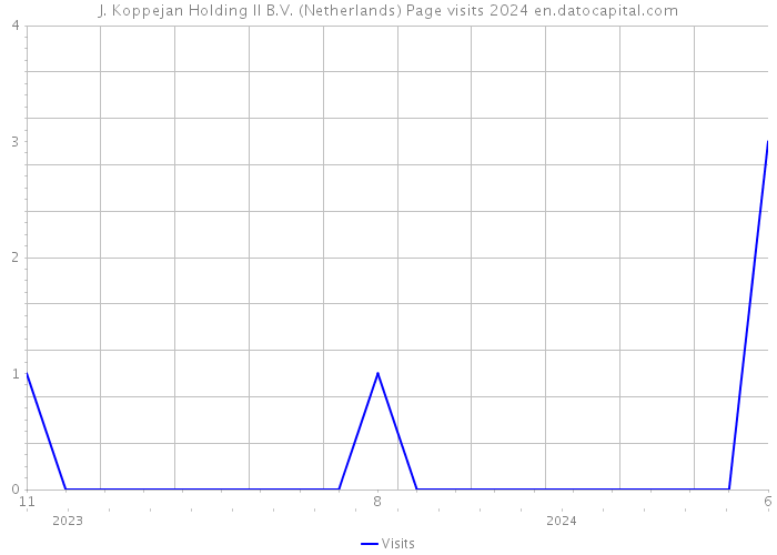 J. Koppejan Holding II B.V. (Netherlands) Page visits 2024 