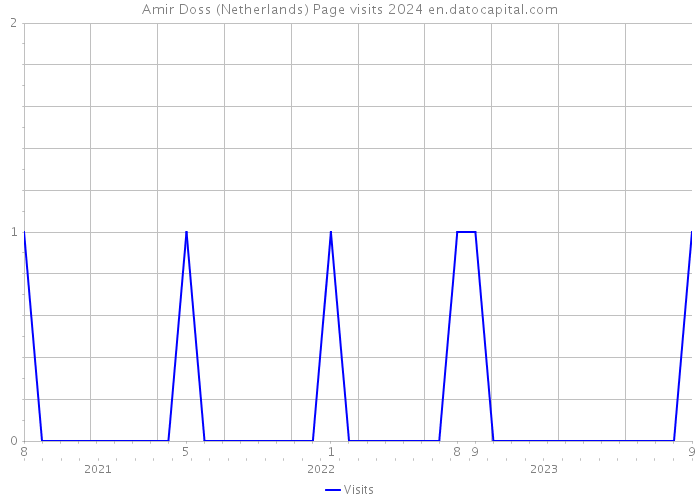 Amir Doss (Netherlands) Page visits 2024 