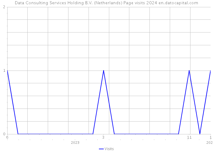 Data Consulting Services Holding B.V. (Netherlands) Page visits 2024 