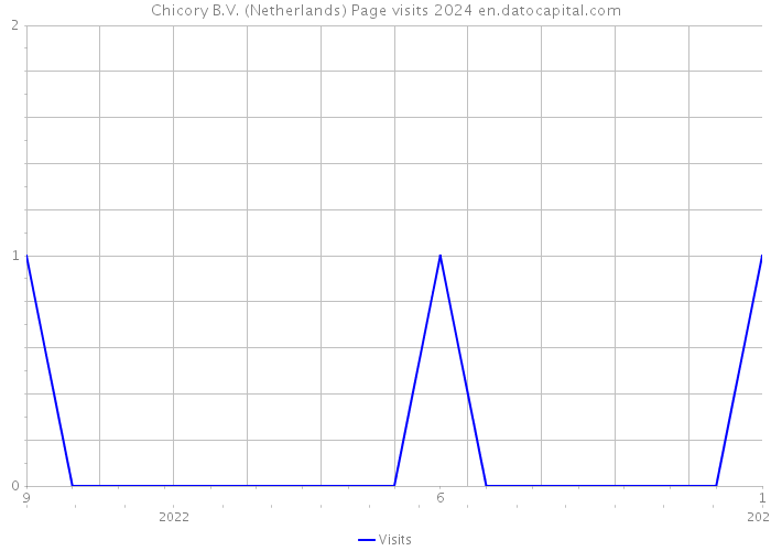 Chicory B.V. (Netherlands) Page visits 2024 
