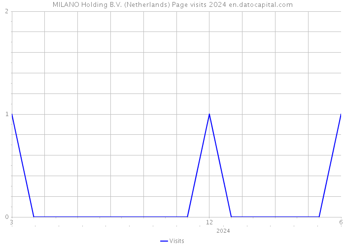 MILANO Holding B.V. (Netherlands) Page visits 2024 