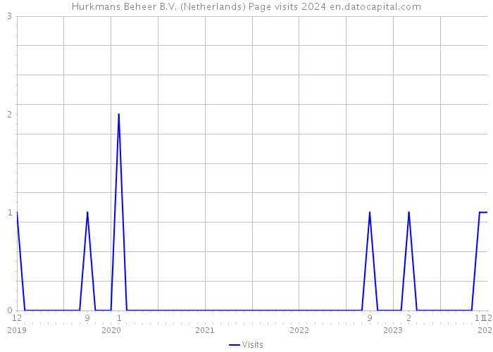 Hurkmans Beheer B.V. (Netherlands) Page visits 2024 