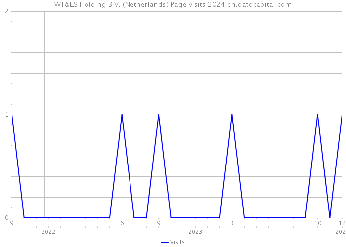 WT&ES Holding B.V. (Netherlands) Page visits 2024 