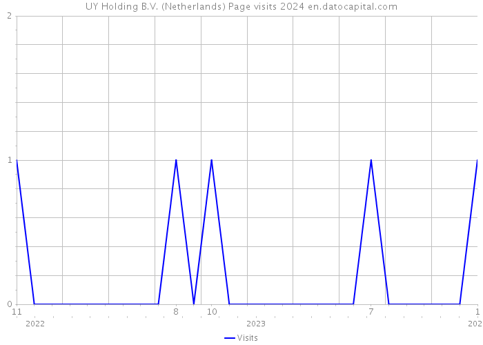 UY Holding B.V. (Netherlands) Page visits 2024 