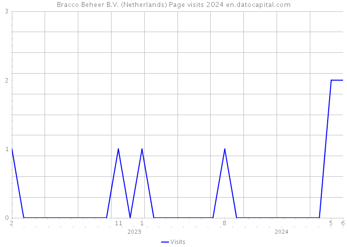 Bracco Beheer B.V. (Netherlands) Page visits 2024 