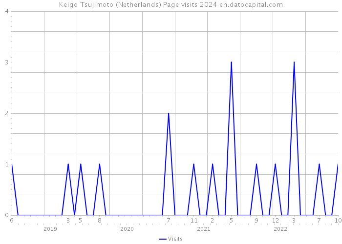 Keigo Tsujimoto (Netherlands) Page visits 2024 