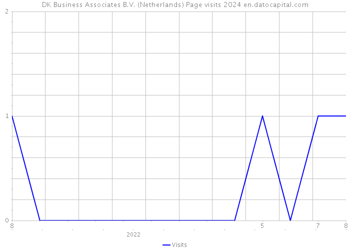 DK Business Associates B.V. (Netherlands) Page visits 2024 