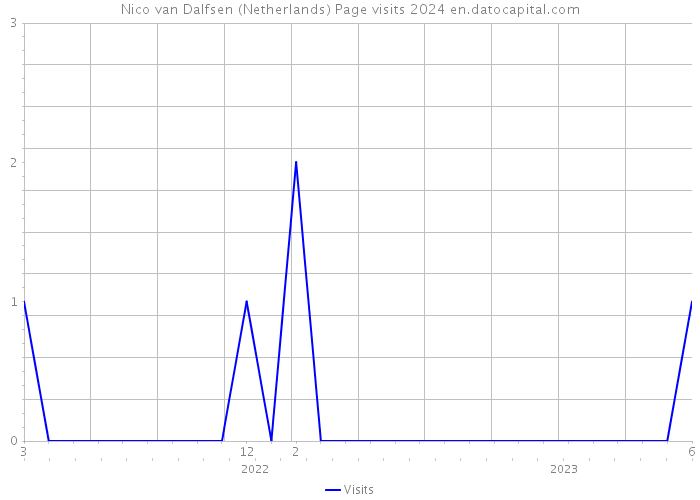 Nico van Dalfsen (Netherlands) Page visits 2024 