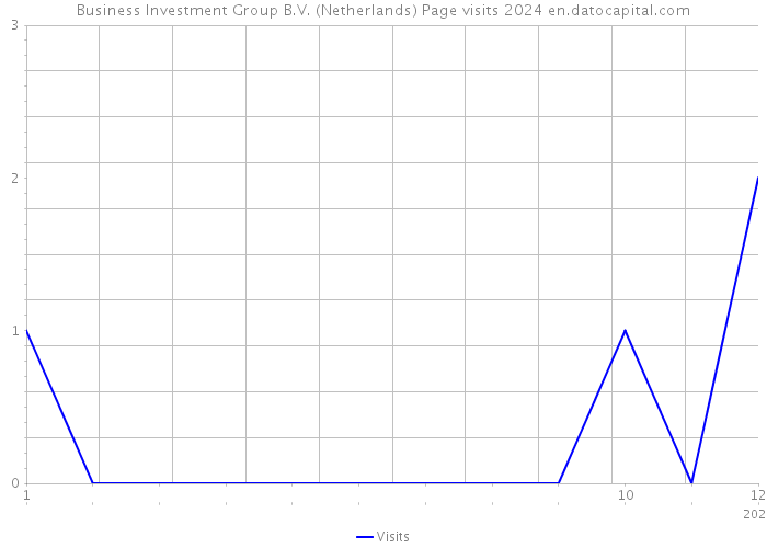 Business Investment Group B.V. (Netherlands) Page visits 2024 
