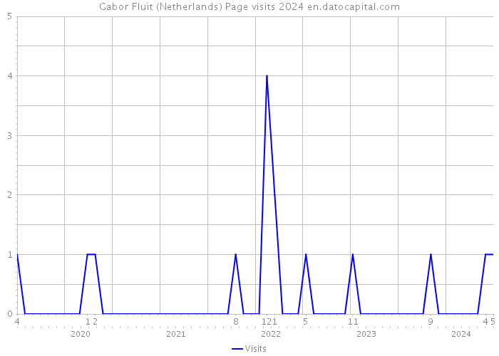 Gabor Fluit (Netherlands) Page visits 2024 