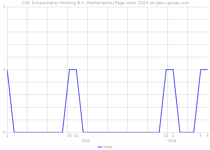 G.M. Schavemaker Holding B.V. (Netherlands) Page visits 2024 