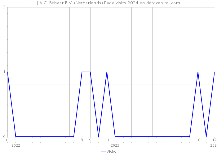 J.A.C. Beheer B.V. (Netherlands) Page visits 2024 