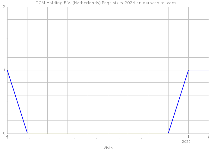 DGM Holding B.V. (Netherlands) Page visits 2024 