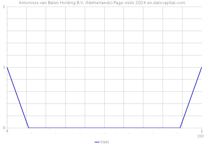 Antonisse van Balen Holding B.V. (Netherlands) Page visits 2024 