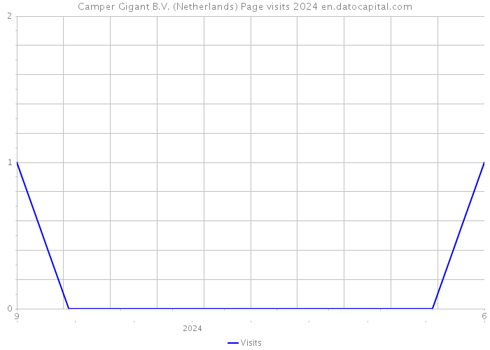 Camper Gigant B.V. (Netherlands) Page visits 2024 
