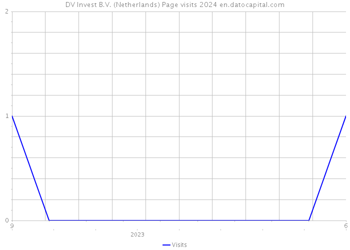 DV Invest B.V. (Netherlands) Page visits 2024 