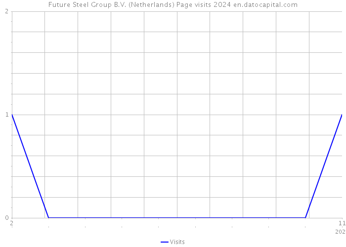 Future Steel Group B.V. (Netherlands) Page visits 2024 
