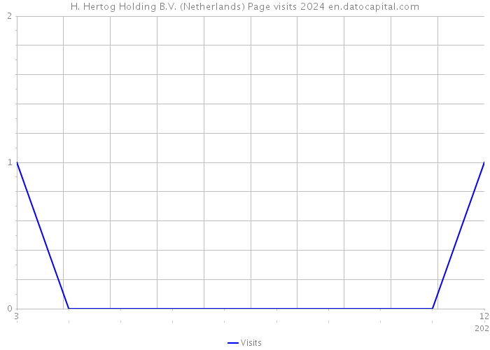 H. Hertog Holding B.V. (Netherlands) Page visits 2024 