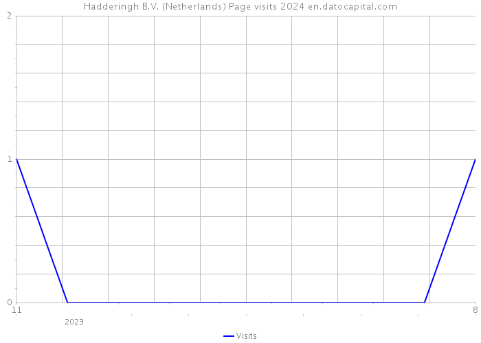 Hadderingh B.V. (Netherlands) Page visits 2024 