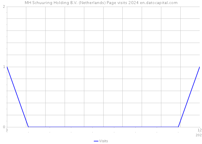 MH Schuuring Holding B.V. (Netherlands) Page visits 2024 