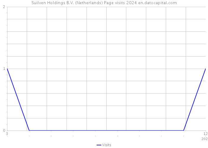 Suilven Holdings B.V. (Netherlands) Page visits 2024 