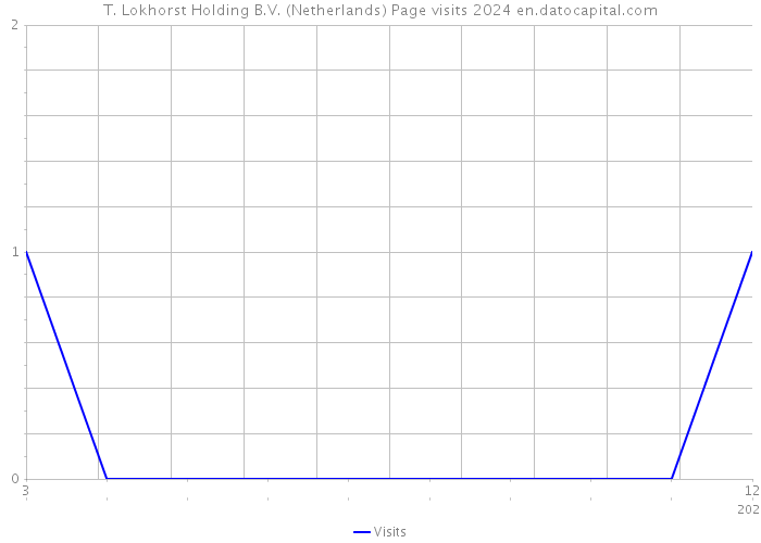 T. Lokhorst Holding B.V. (Netherlands) Page visits 2024 