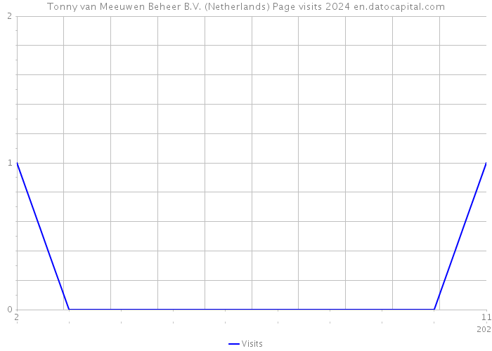 Tonny van Meeuwen Beheer B.V. (Netherlands) Page visits 2024 
