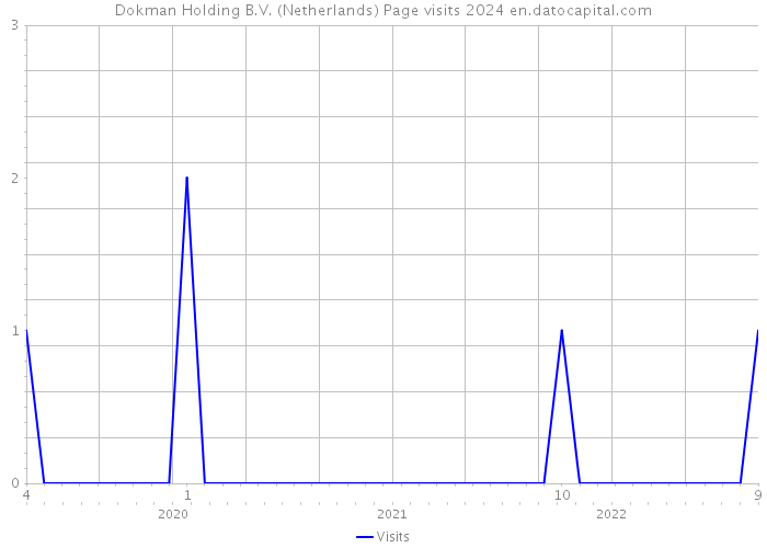 Dokman Holding B.V. (Netherlands) Page visits 2024 