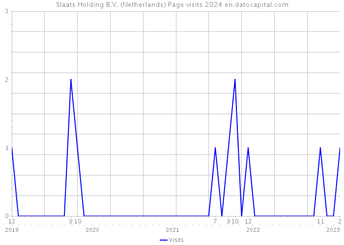 Slaats Holding B.V. (Netherlands) Page visits 2024 