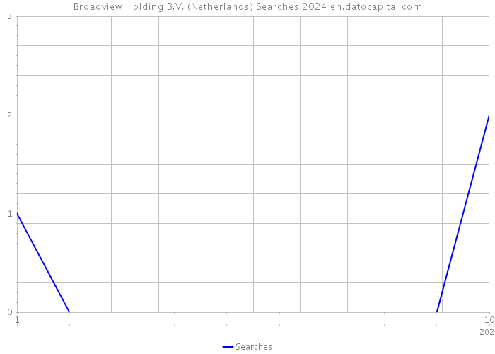 Broadview Holding B.V. (Netherlands) Searches 2024 