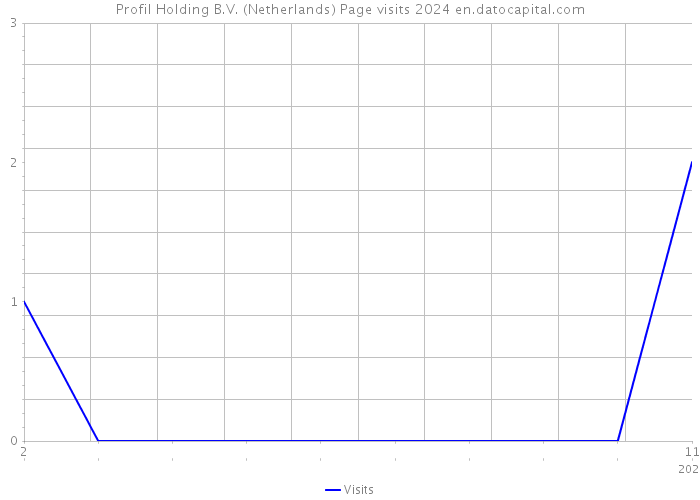 Profil Holding B.V. (Netherlands) Page visits 2024 