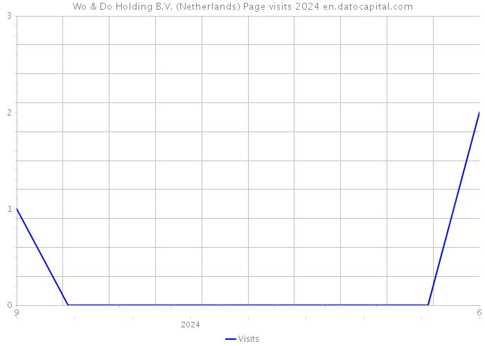 Wo & Do Holding B.V. (Netherlands) Page visits 2024 