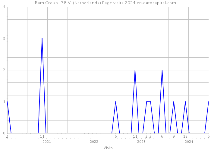 Ram Group IP B.V. (Netherlands) Page visits 2024 