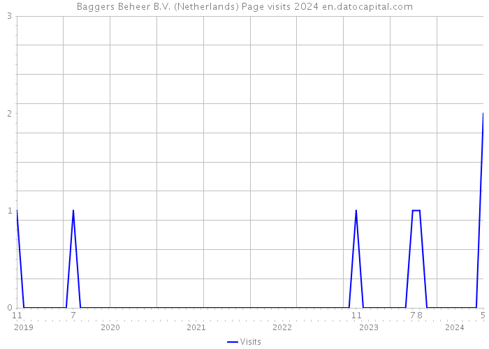 Baggers Beheer B.V. (Netherlands) Page visits 2024 