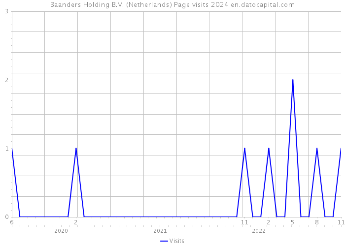 Baanders Holding B.V. (Netherlands) Page visits 2024 