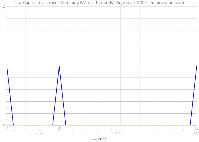 New Capital Investment Company B.V. (Netherlands) Page visits 2024 