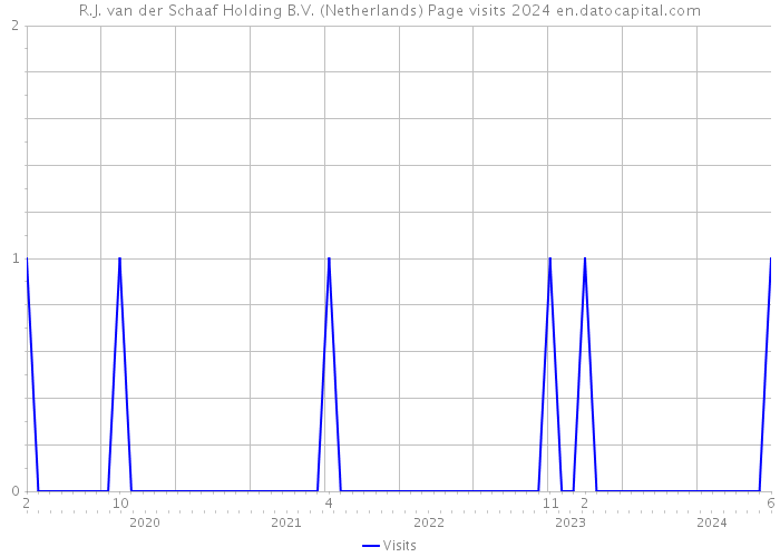R.J. van der Schaaf Holding B.V. (Netherlands) Page visits 2024 