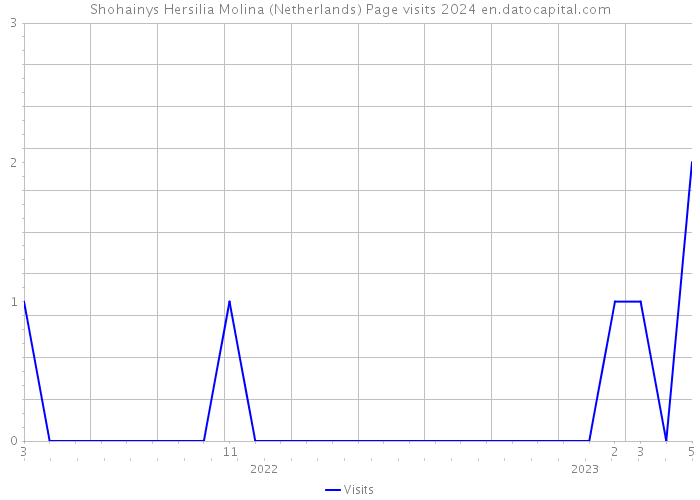 Shohainys Hersilia Molina (Netherlands) Page visits 2024 