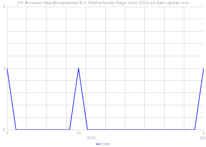 J.H. Brouwer Haardhouthandel B.V. (Netherlands) Page visits 2024 
