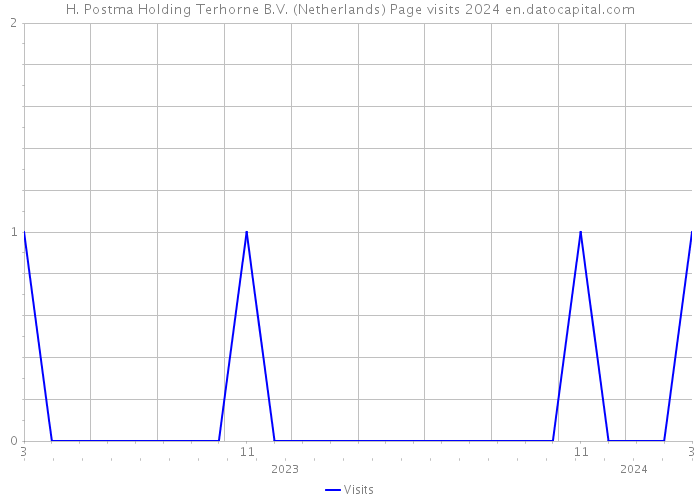 H. Postma Holding Terhorne B.V. (Netherlands) Page visits 2024 