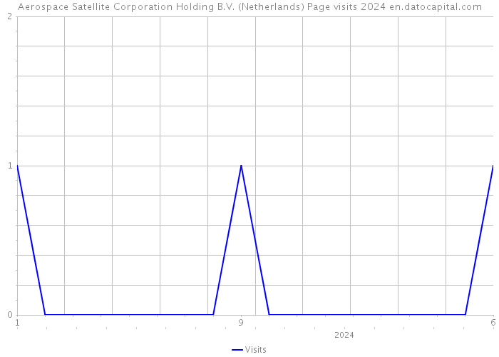 Aerospace Satellite Corporation Holding B.V. (Netherlands) Page visits 2024 