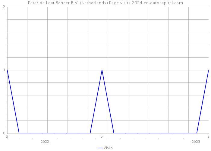 Peter de Laat Beheer B.V. (Netherlands) Page visits 2024 