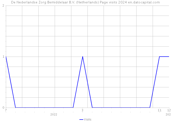 De Nederlandse Zorg Bemiddelaar B.V. (Netherlands) Page visits 2024 