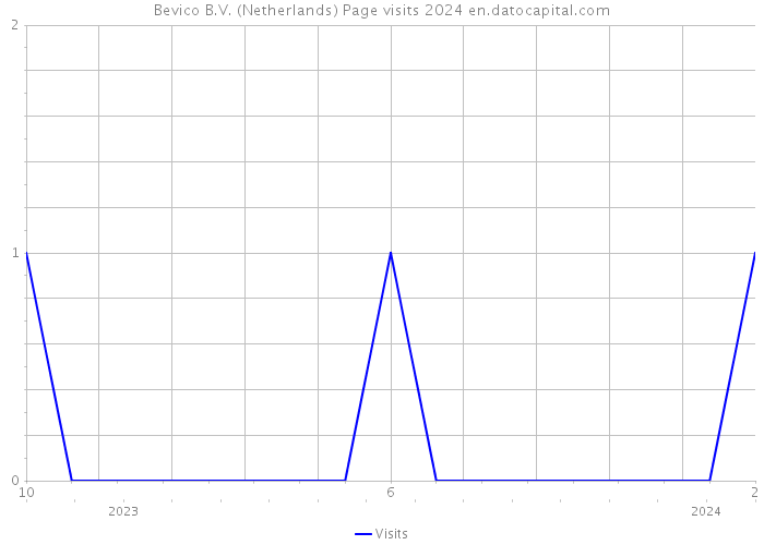 Bevico B.V. (Netherlands) Page visits 2024 