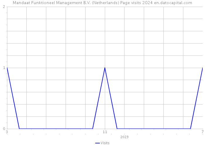 Mandaat Funktioneel Management B.V. (Netherlands) Page visits 2024 